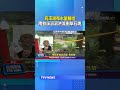 烏來瀑布水量暴增 南勢溪滾滾洪流衝擊石塊 #颱風