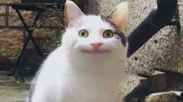 Misery x 90 other songs (read description)