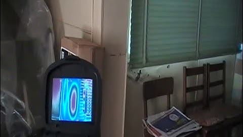 Thermal imaging camera shows what a termite nest looks like in a wall