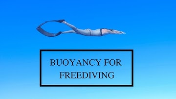 Beginners Guide: How To Check Buoyancy for Pool Freediving | Dynamic Apnea