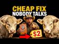 Stop Subclinical Acidosis: Why Your Cattle Need Baking Soda