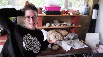 Sorting Out My Fossil Office (ready for air tools) - Fossil Friday Ep 17