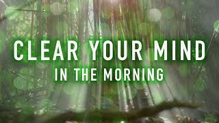 Clear Your Mind in the Morning - A Guided Mindfulness Meditation (8 minutes) screenshot 4