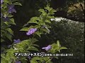 了仙寺・花の香祭り・ペリーロード