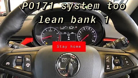 Vauxhall/Opel Corsa P0171 system too lean bank 1
