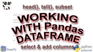 Working with Pandas: head, tail, slice & subset, add & remove columns
