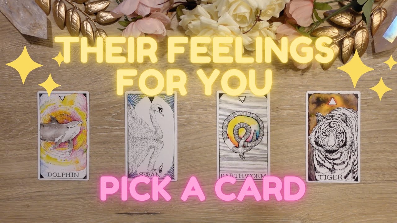 Their TRUE FEELINGS For You Right Now !! ️‍🔥 Pick a Card Tarot Reading ...