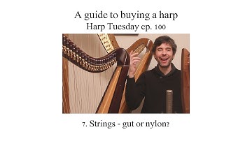 Buying a Harp - Strings - gut or nylon? (Harp Tuesday ep. 100)