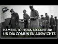 La vida de los PRISIONEROS en los CAMPOS de CONCENTRACIÓN de la Alemania Nazi