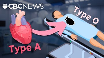 This breakthrough makes everyone a universal donor