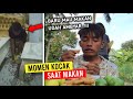 Ada yang dipalakin monyet deretan momen kocak yang terjadi saat makan