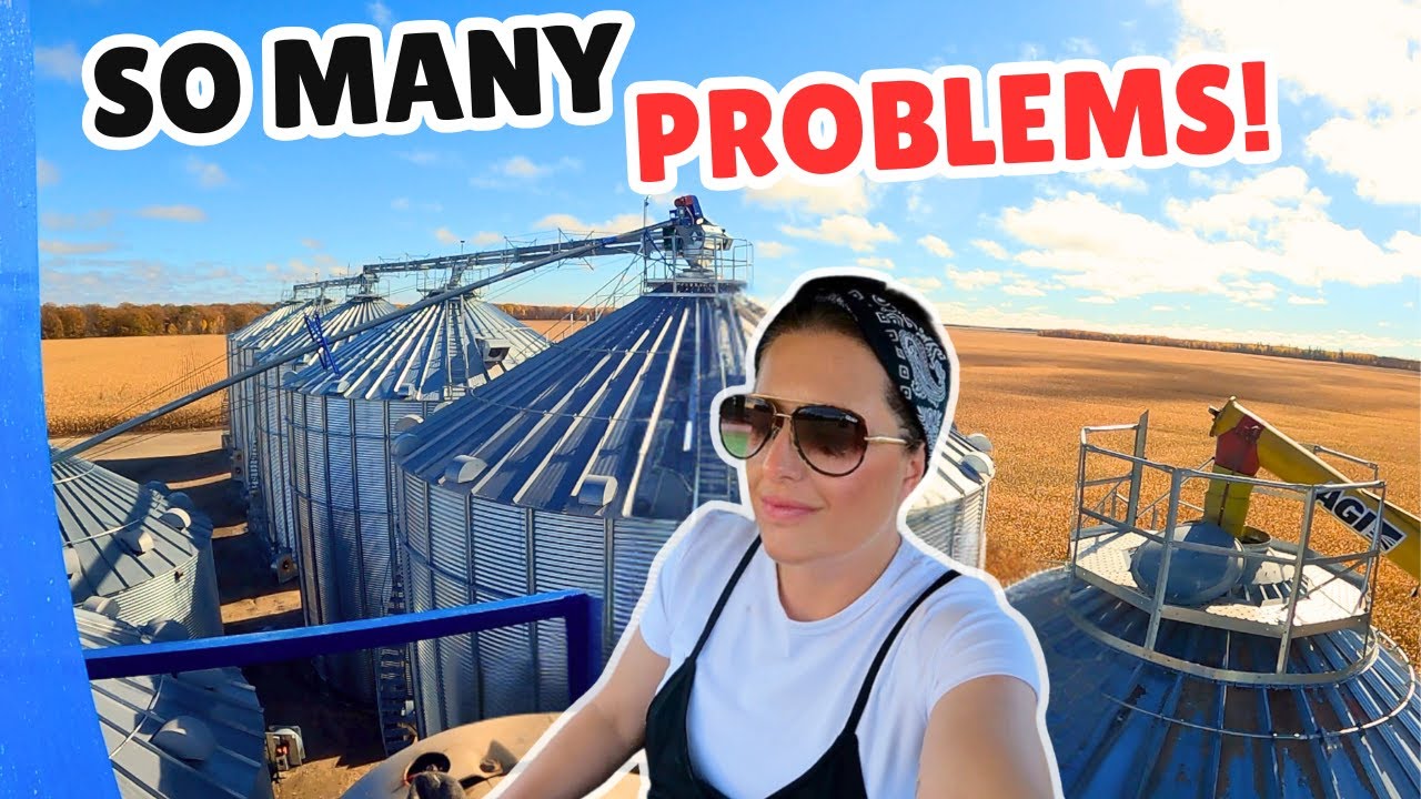 ВСЕ ЛОМАЕТСЯ, были допущены ошибки, еще одна неделя ТРУДНОСТЕЙ!!