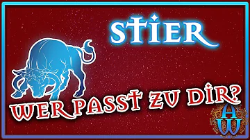 Was passt besser zu Stier?