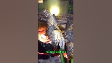 cá lóc nướng món ngon đồng quê