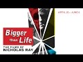 Northwest film center presents bigger than life the film of nicholas ray april 25  june 6 2015