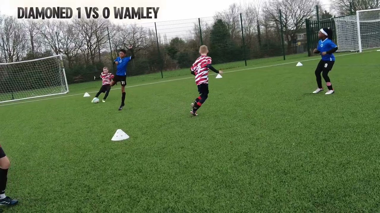 DIAMONED 1 vs 0 WAMLEY