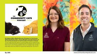 559: Dr. Kimberly Mann, Medical Director & Surgeon of the York County SPCA Spay/Neuter Clinic,...