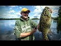 Smallmouth Bass Smashdown (Quetico) – Angling Edge TV