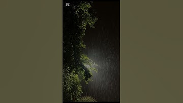 سورة الفاتحة بصوت الشيخ ياسر الدوسري #قران_كريم #ياسر_الدوسري