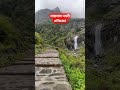 ❤️❤️Valley of flowers ❤️❤️
