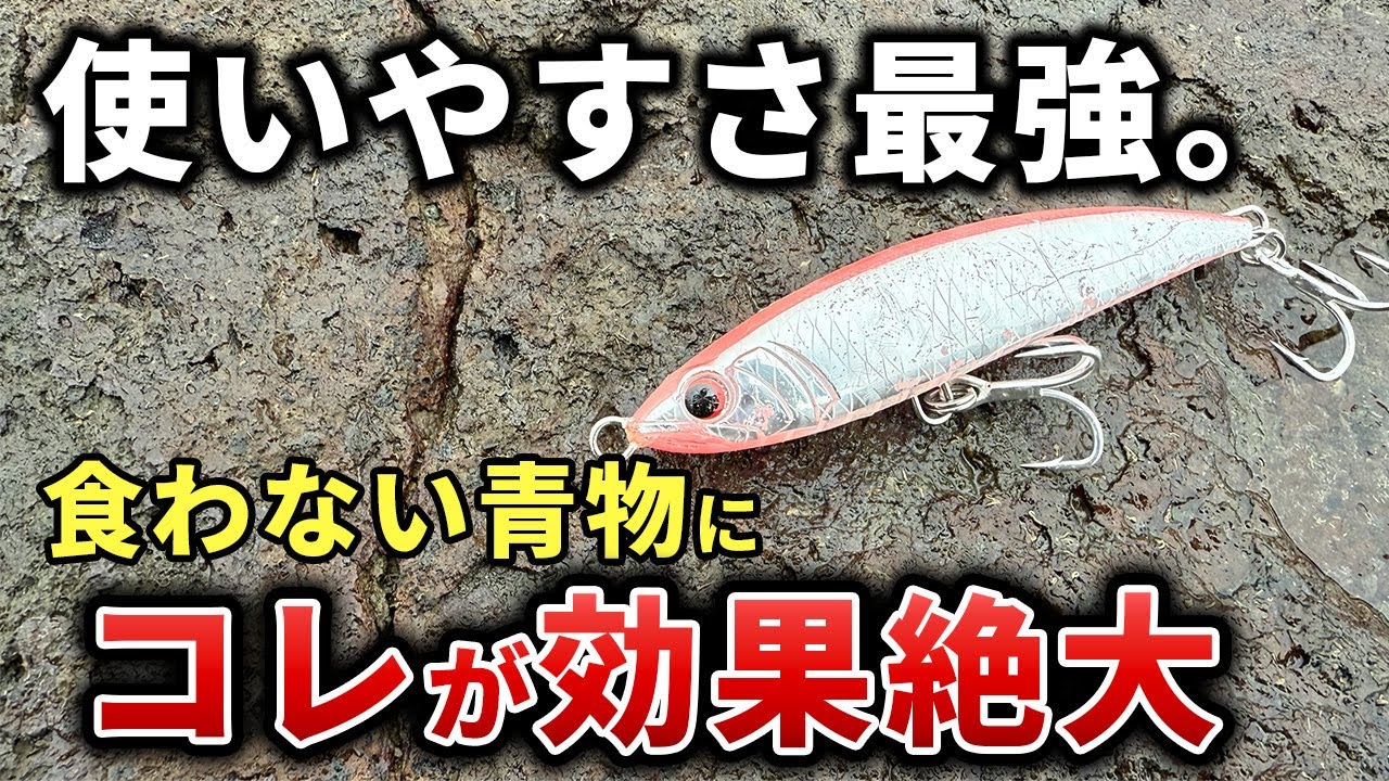 即一軍確定】喰わない青物対策に超強力な新兵器が登場！！デイゲームで