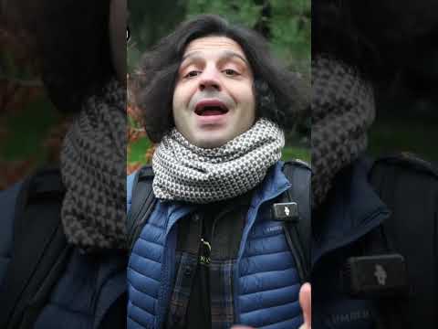 FOTOĞRAFÇILIKTA SABİT ODAKLI LENSLER ?