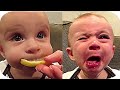 Best Videos of Cute Babies Eating Lemons for the first tome - Try Not to laugh