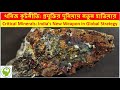 লিথিয়াম ও রেয়ার আর্থ: আন্তর্জাতিক খনিজ কূটনীতি | India’s Mineral Diplomacy: Critical Minerals