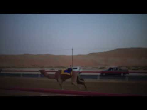 الشوط 1 البويضا ل محمد سالم خلفان المنصوري توقيت 4 45 01