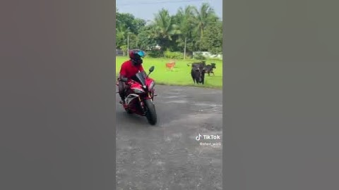 #YAMAHA #R6  Ammo Eka 😜😉 #subscribe #srilanka #highcapacity #tiktok