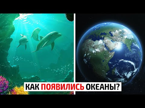 Video: Kako oceani na svetu?