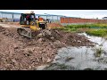 Bulldozer DH17C3 Clean Perfectly Pushing Digs soil Using a drill, Stones Rocks,Forestry Work Debris