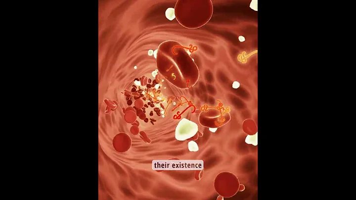 Immune Privilege of Eyes