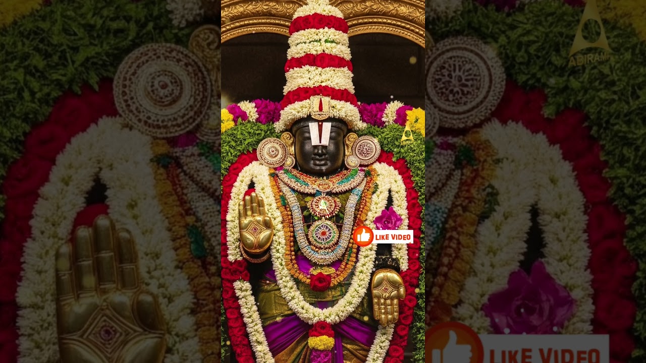 🙏 பெருமாள் தரிசனம் | Lord Perumal Divine Darshan | ஸ்ரீமன் நாராயணன் அருள் #shorts