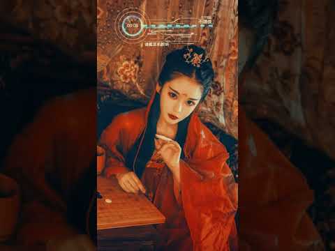 Critty - 不谓侠