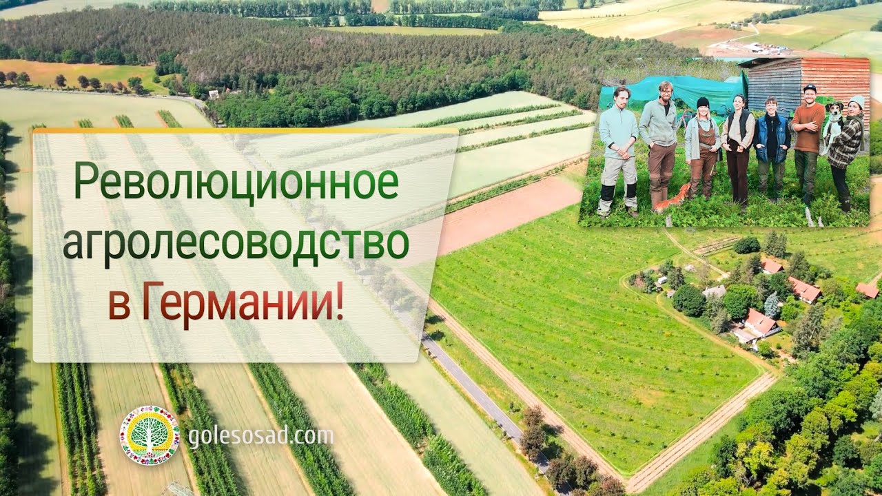 Революционное агролесоводство в Германии!