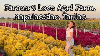 Farmers Love Agri Farm Vlog By Mhy Nie