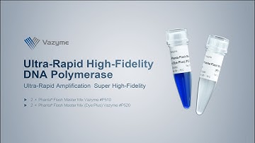 Vazyme Ultra Fast High Fidelity DNA Polymerase