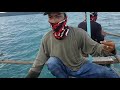 vlog6- Traditional fishing/buya buya /catch and cook