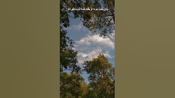 دقيقة من القرآن الكريم بصوت الشيخ ماهر المعيقلي سورة النساء #قرآن #قرآن_كريم #قران #religion