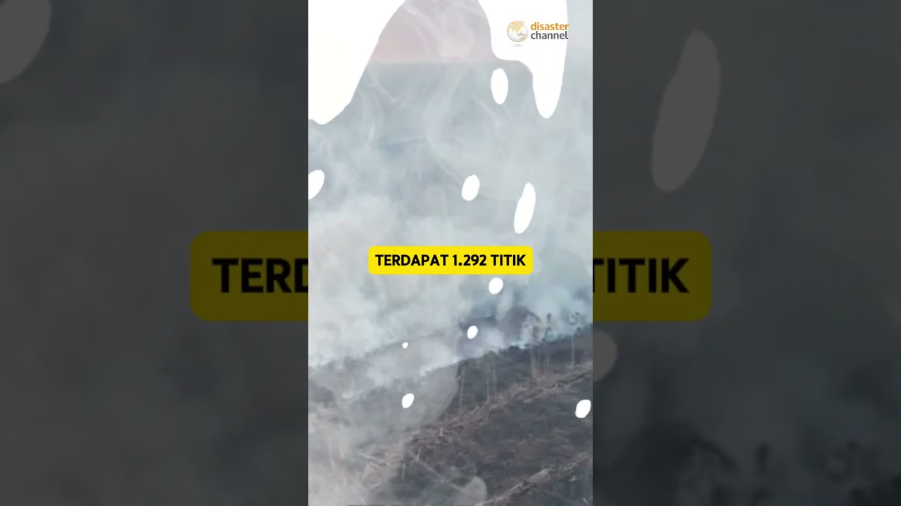 Karhutla di Merauke, Tanda Bencana Makin Suram.#karhutla #merauke #kebakaran #bencana #info
