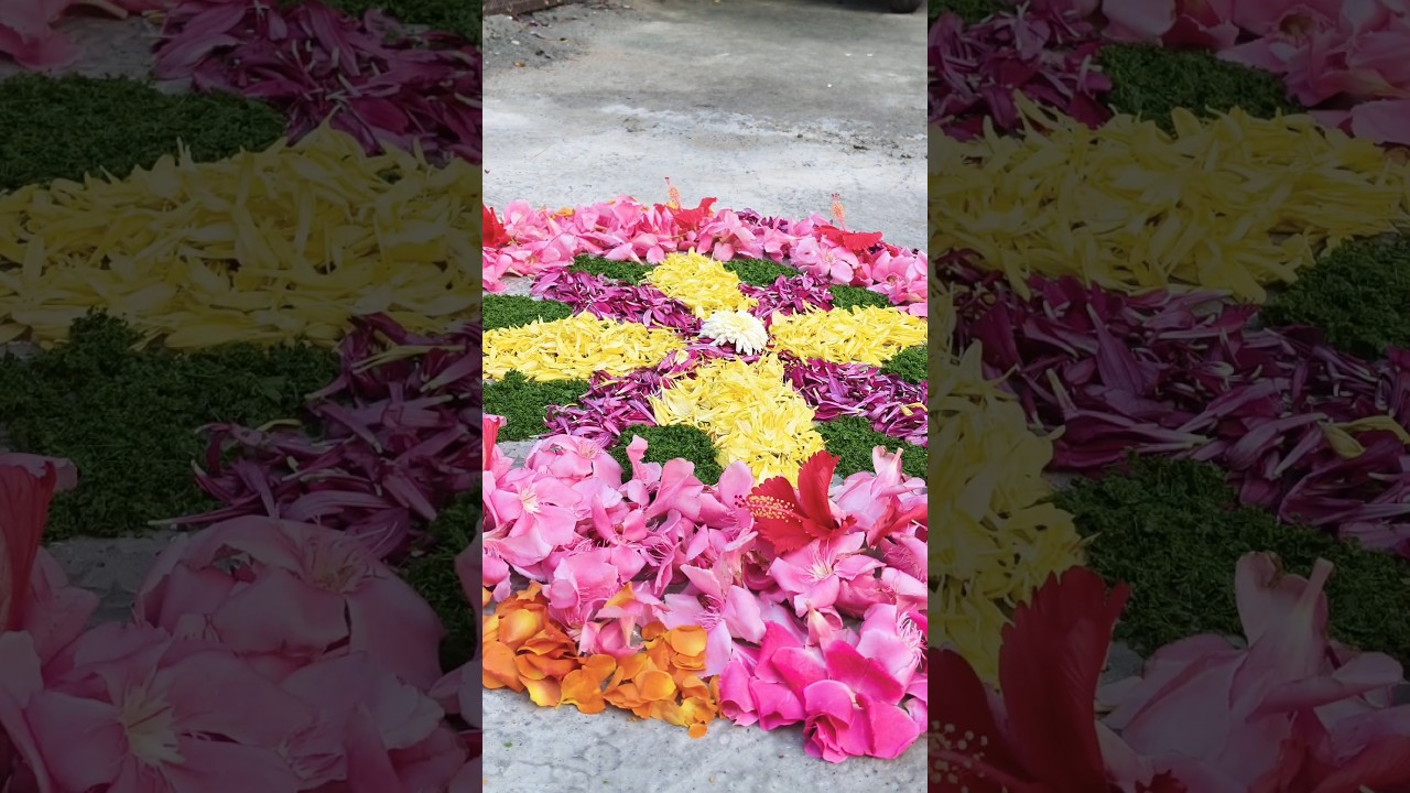 celebration mood 💐#shortsfeed #love #function #onamcelebration #pookolam #housewifeblog