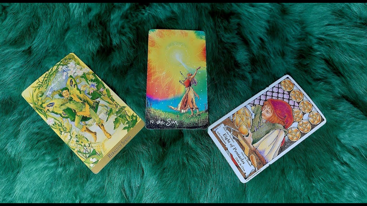 BẠN SỞ HỮU ĐỘC QUYỀN TÌNH YÊU CỦA AI? TẠI SAO? @EvelynTarot