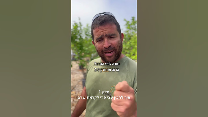 חלק 1 של הכנת עצי פרי לקראת שרב בשביל שהעץ לא יפיל את הפירות שלו