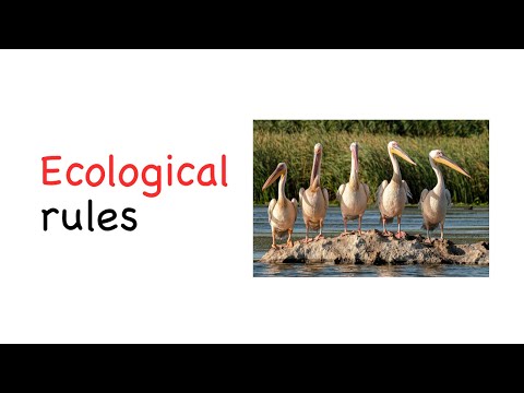 Ecological rules [Ecology]