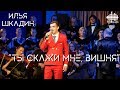 Илья Шкадин - Ты скажи мне, вишня (live, Тверская филармония)
