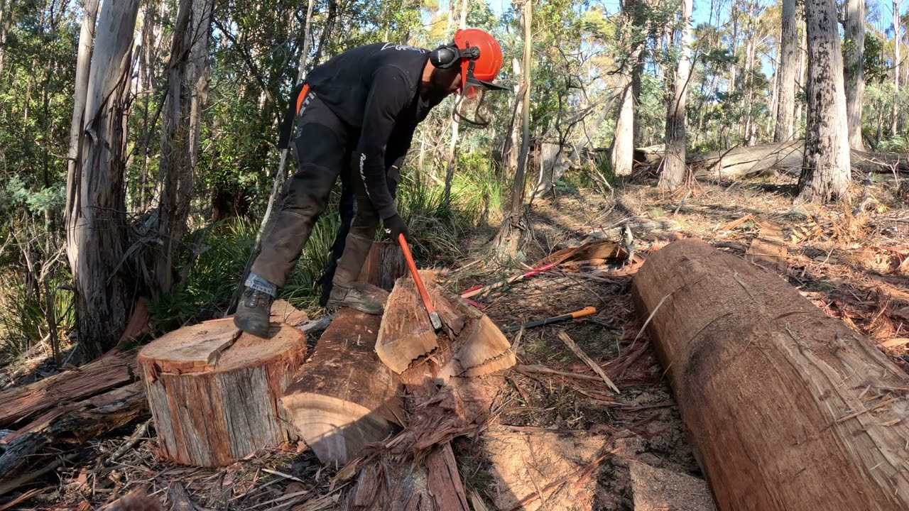 Hand Split Hardwood Fence Posts - Stringy Bark, Southern Midlands Tasmania. part. 2