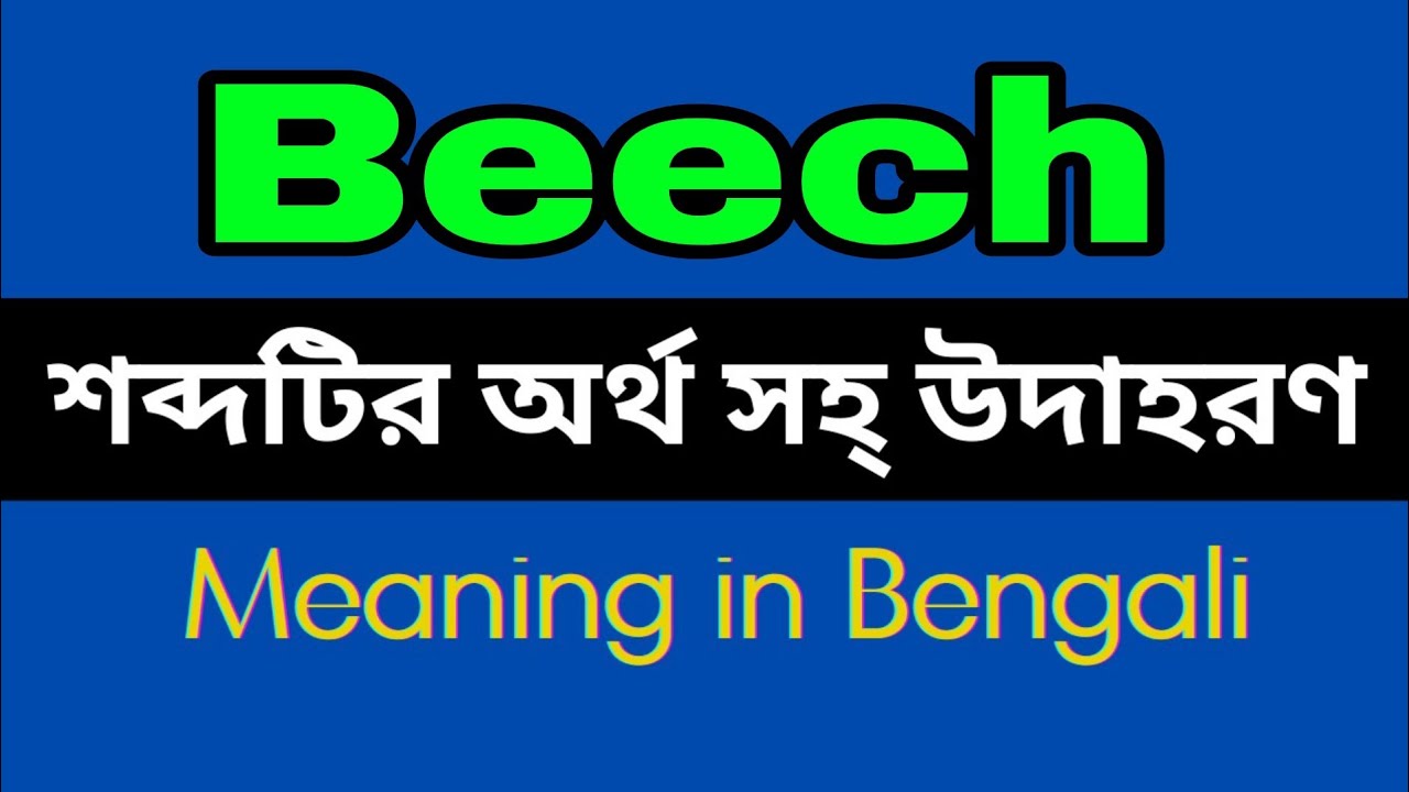 Beech Meaning In Bengali /Beech mane ki