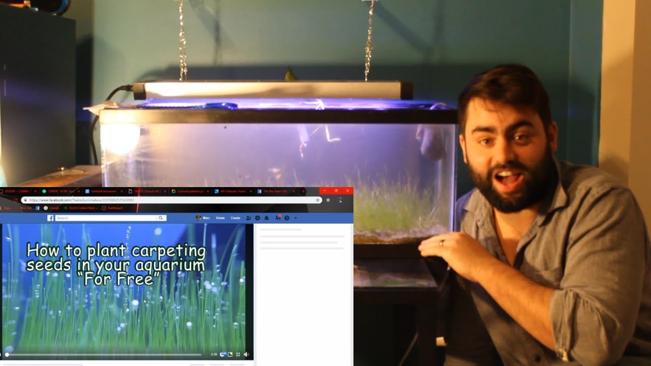 The Grass is Dying =(( - YouTube