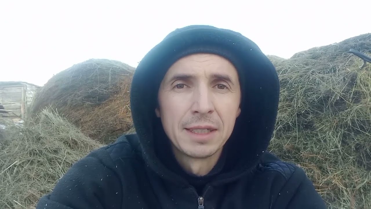 Сколько катушек сена надо на одну корову?